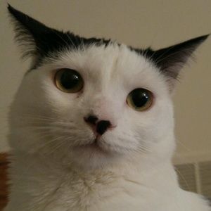 Meet your Posher, Ashlyn